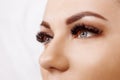 Eyelash Extension Procedure. Woman Eye with Long Eyelashes. Close up, selective focus. Hollywood, russian volume Royalty Free Stock Photo
