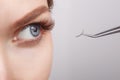 Eyelash Extension Procedure. Woman Eye with Long Eyelashes. Lashes, close up, selected focus. Royalty Free Stock Photo