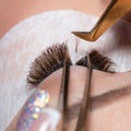 Eyelash Extension Procedure. Woman Eye with Long Eyelashes Royalty Free Stock Photo