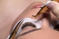 Eyelash Extension Procedure. Woman Eye with Long Eyelashes Royalty Free Stock Photo