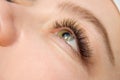 Eyelash Extension Procedure. Woman Eye with Long false Eyelashes. Close up macro shot of fashion eyes visagein in beauty salon Royalty Free Stock Photo