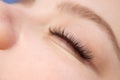 Eyelash Extension Procedure. Woman Eye with Long false Eyelashes. Close up macro shot of fashion eyes visagein in beauty salon Royalty Free Stock Photo
