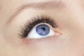 Eyelash extension procedure - woman fashion blue eye with long false eyelashes close up macro, beauty, make up and visage concept Royalty Free Stock Photo