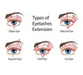 Eyelash Extension types and forms. For Beuty salons. Infographic