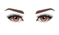 Eyelash extension types, realistic eyes and eyelashes, high detail