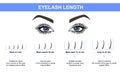 Eyelash extension, Woman`s eye with long thick eyelashes. Close-up, selective focus. Leadership. Infographic vector illustration