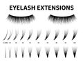 Eyelash extensions. Curling extension volume eyelashes, tweezer tool guide fake lash. Artificial lashes template makeup