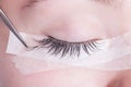 Eyelash extensions in the salon