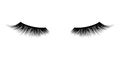 Eyelash or lash mascara vector icons