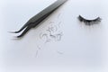 Eyelash one cilium machinery