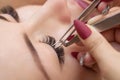 Eyelash removal procedure close up. Beautiful Woman with long lashes in a beauty salon. Royalty Free Stock Photo