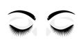 Eyelashes. Closed eyes with false extended lashes. Black and white beauty procedure logo. Artificial makeup. Front view