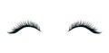Eyelashes extension, beautiful make up, black artificial lashes isolated on white background. Hand drawn fashion element.