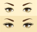 eyelashes extension. . Before and after effect. Beauty open eye with short and long eyelashes Vector illustration.