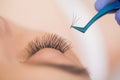 Eyelashes extensions. Fake Eyelashes. Eyelash Extension Procedure. Professional stylist lengthening female lashes