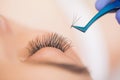 Eyelashes extensions. Fake Eyelashes. Eyelash Extension Procedure. Professional stylist lengthening female lashes