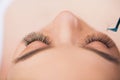 Eyelashes extensions. Fake Eyelashes. Eyelash Extension Procedure. Professional stylist lengthening female lashes Royalty Free Stock Photo