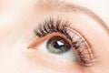 Eyelashes extensions procedure in spa beauty salon. Macro Beautiful eye with makeup