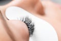 Eyelashes extensions procedure in spa beauty salon. Macro Beautiful eye with makeup white patch