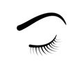 Eyelashes, eyebrows - illustration on a white background. make-up, beauty salon. eyebrow