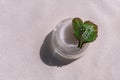 Eyelid cream glass jar with green heartshaped leaf on smooth white silk background shadow water splashes sunlight Royalty Free Stock Photo