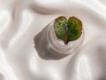 Eyelid cream glass jar with green heartshaped leaf on smooth white silk background shadow water splashes sunlight Royalty Free Stock Photo