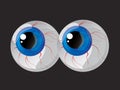 Eyes Royalty Free Stock Photo