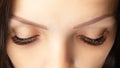 Eyes with beautiful long lashes closeup. Brown color eye lash extension, 3D or 4D volume