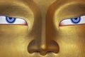 Eyes of a Buddha Royalty Free Stock Photo