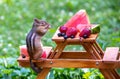 Chipmunk prays over fresh food