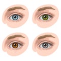 Eyes with different colors Royalty Free Stock Photo