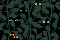 Eyes of different creatures in the night forest