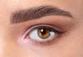 Eyes and eyebrows close up. Portrait of a beautiful teenage girl with beautiful makeup and healthy clean skin. Makeup and Royalty Free Stock Photo