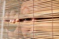Eyes looking through the blinds Royalty Free Stock Photo