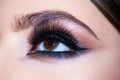 Eyes with make up close up. Makeup closeup. Eyebrow long eyelashes. Beauty salon. Beautiful macro female eye with long