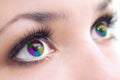 Eyes multicoloured Royalty Free Stock Photo