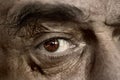 Eyes of an old man Royalty Free Stock Photo