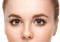 Eyes woman eyebrow eyes lashes. Royalty Free Stock Photo