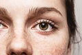 Eyes woman Young beautiful freckles woman face portrait with healthy skin Royalty Free Stock Photo