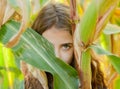 Eyes of Young Girl in Corn Maze Hiding Face