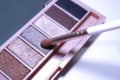 Eyeshadow palette Royalty Free Stock Photo