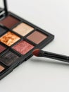 Eyeshadow palette and makeup brush. Royalty Free Stock Photo