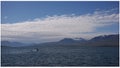 Whales watching in Eyjafjordur