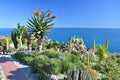 Amazing exotic garden with succulents and cacti plants in Eze, France