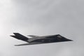 F-117 Nighthawk (aka Stealth Fighter)