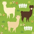 Funny alpaca farm seamless pattern background with grass, flower and wooden fence. Happy alpaca with amazing hairstyle. Royalty Free Stock Photo