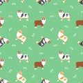 Australian Shepherd or Aussie seamless pattern background. with grass. Cartoon dog puppy background. Hand drawn childish vector