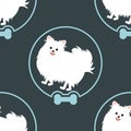 Pomeranian dog in bubbles seamless pattern background with dog bones . Cartoon dog puppy background. Hand drawn childish vector