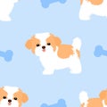 Cute shih tzu puppie seamless pattern background with dog bone. Cartoon dog puppy background. Hand drawn childish vector