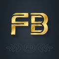 F and B initial golden logo. FB - Metallic 3d icon or vector logotype template. Design element with lineart option. Gold